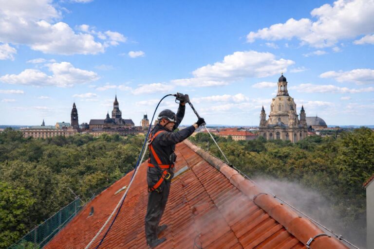 Dachreinigung Dresden