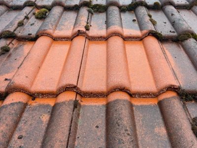 Dachreinigung Dresden